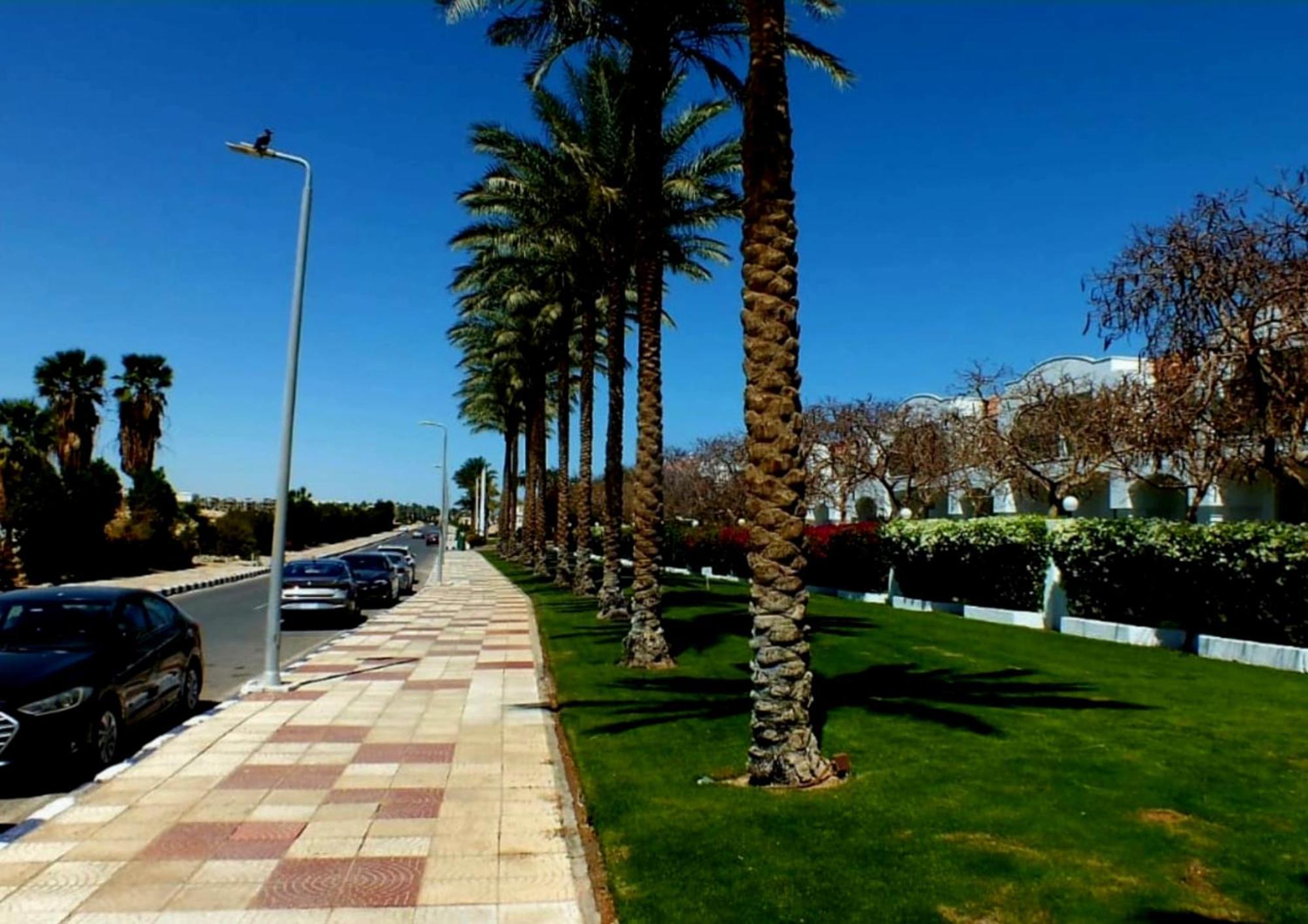 Apartament Hills